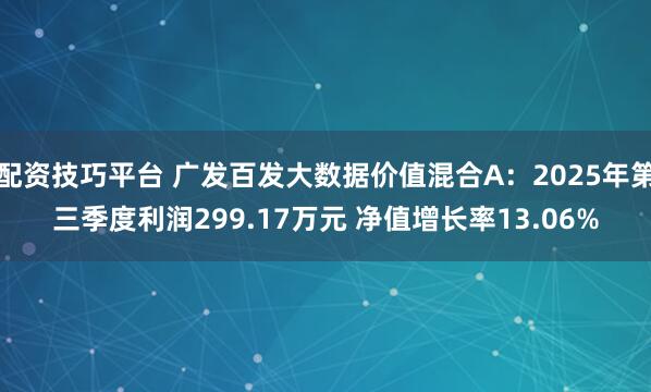配资技巧平台 广发百发大数据价值混合A：2025年第三季度利润299.17万元 净值增长率13.06%
