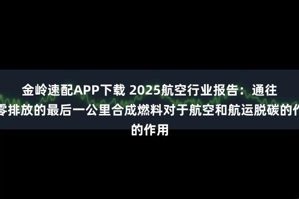 金岭速配APP下载 2025航空行业报告:通往净零排放的最后一公里合成燃料对于航空和航运脱碳的作用