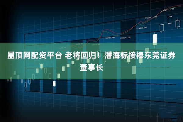 晶顶网配资平台 老将回归！潘海标接棒东莞证券董事长