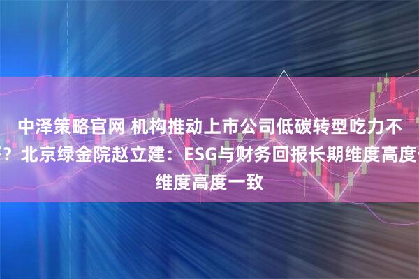 中泽策略官网 机构推动上市公司低碳转型吃力不讨好？北京绿金院赵立建：ESG与财务回报长期维度高度一致
